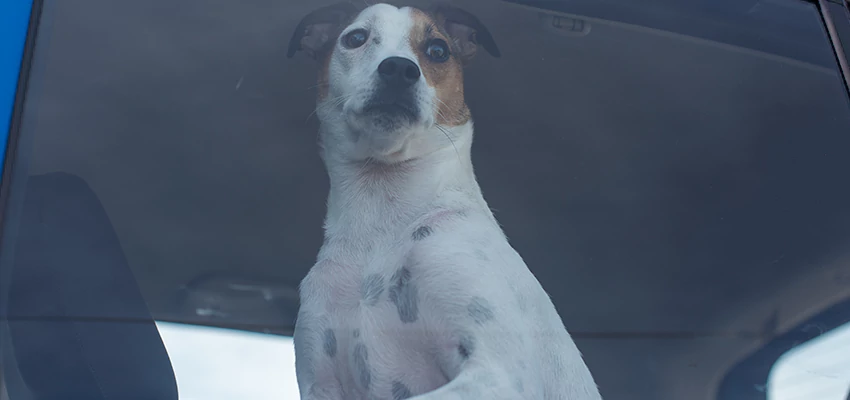 Car Lockout Solutions in Simi Valley, California